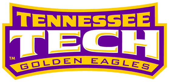 Tennessee Tech Golden Eagles 2006-Pres Wordmark Logo t shirts DIY iron ons